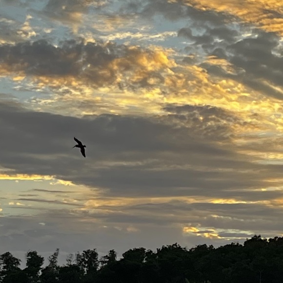 Meet your Posher, Tanee - Picture 2 of 2